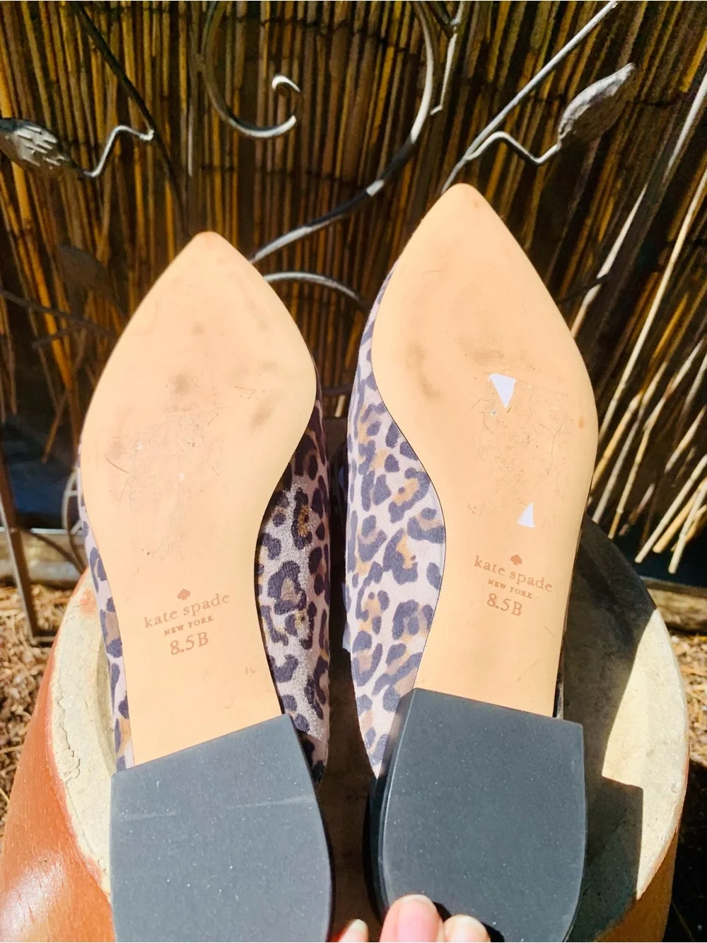 kate spade Leopard Print Pointed Mules - tan/Brown